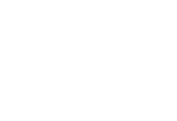 logo light