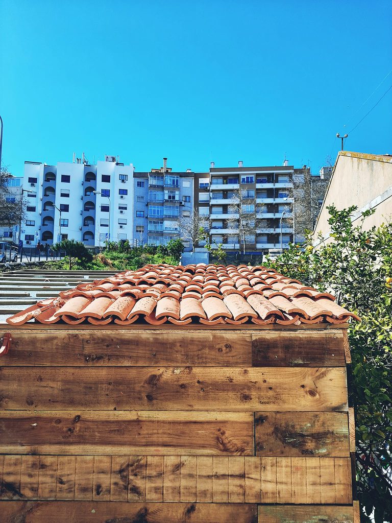 casa9